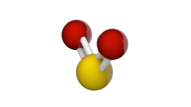Sulfur (sulphur) dioxide, or Sulfur(IV) oxide, is the chemical compound with the formula SO2. It is a toxic gas. 3D render. Seamless loop. Chemical structure model: Ball and Stick. White background
