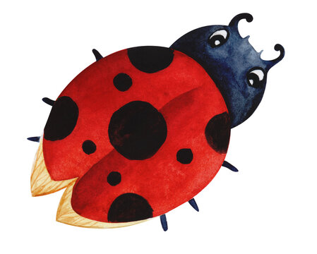 Watercolor image of cartoon ladybird isolated on white background. Hand drawn cute black bug with big eyes and folded wings of bright red color with black spots