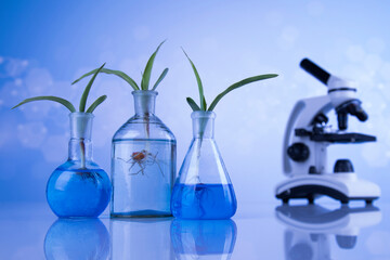 Microscope, Laboratory glassware, plant laboratory experimental