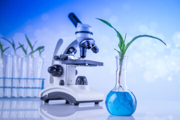 Laboratory glassware, plant laboratory experimental