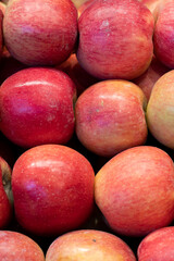 Organic red apple. Close-up apple background