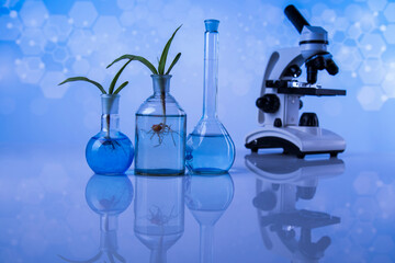 Biotechnology concept, Plant laboratory experimental