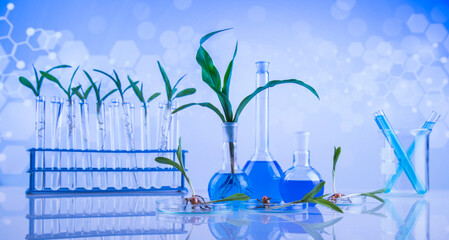 Biotechnology concept, Plant laboratory experimental