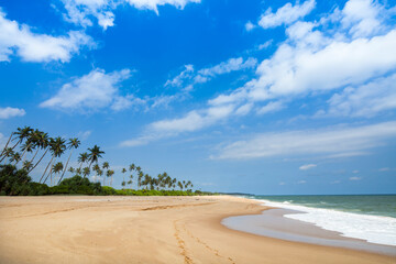 Sri Lanka, Beautiful view of the tropical beach