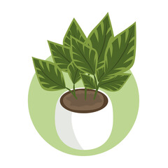 Icon of a plant in a pot with green leaves