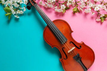 Fototapeta na wymiar Close up of Branch of blossoming cherry and violin on azure and pink duotone background