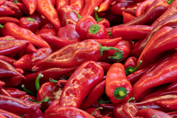 fresh red peppers in the market. red pepper in bulk. ripe red peppers in a street market. capia pepper.