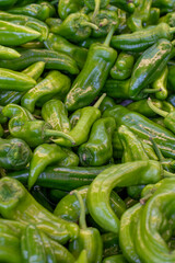 Fresh green peppers in the market. green peppers in bulk. ripe green peppers in a street market