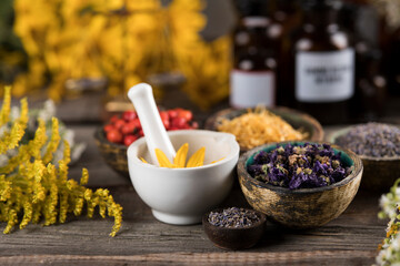 Fresh medicinal herbs on wooden background