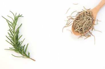 Fresh rosemary herb and Dried rosemary on the white background. Top view.