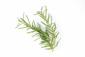 Fresh rosemary herb on the white background. Top view.