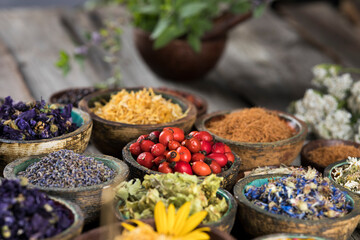 Fresh medicinal herbs on wooden background