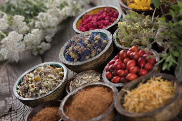 Fresh medicinal herbs on wooden background