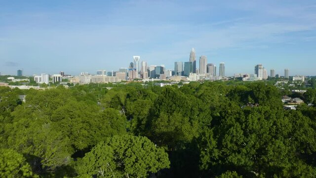 Charlotte Skyline Revealed behind Green Treetops on Windy Day