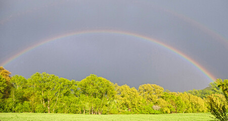 complete rainbow over green field and trees in the sun with storm grey sky