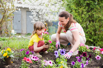 mother and child daughter plant flowers in the garden near the houme on spring day. Kid help mom...