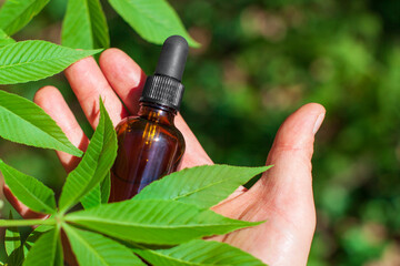 Hand holding bootle of biological and ecological herbal pharmaceutical cbd oil Cannabis Oil - medical marijuana concept. Hand holding bottle of Cannabis oil.