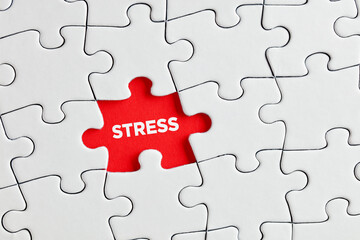 The word stress written on red missing puzzle piece. Exposing or discovering underlying stress or tension