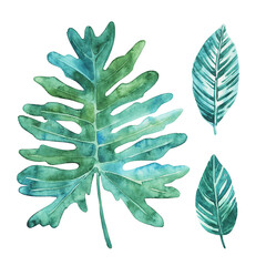 Set of bright watercolor tropical leaves. Leaves and branches from the jungle. Ideas for postcards, souvenirs, invitations.