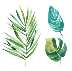 Set of bright watercolor tropical leaves. Leaves and branches from the jungle. Ideas for postcards, souvenirs, invitations.