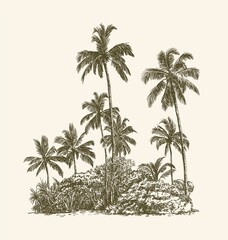 three palm trees grow on a wild beach. vector sketch on white background - 434053122