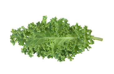 curly kale isolated on white background with clipping path..