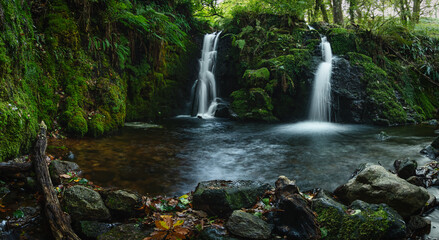 Fototapeta premium A hidden waterfall in green natural paradise. Dense forest with fallen trees, amazing light, flowing water. Very relaxing, pure natural scene, peaceful and quiet.