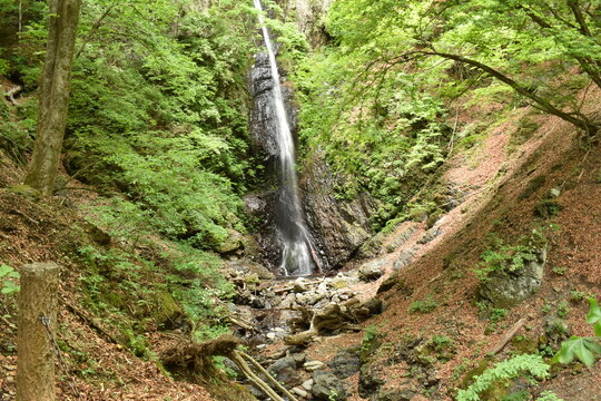 白糸の滝