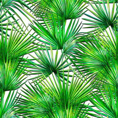 tropical seamless design, textile, leaves, jungle