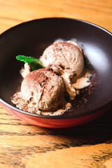 Vanilla ice cream with dark chocolate and cocoa in a bowl. Two scoops of ice cream for dessert time.