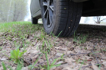 wheels and the bottom of the car in the grass on the road, bottom view