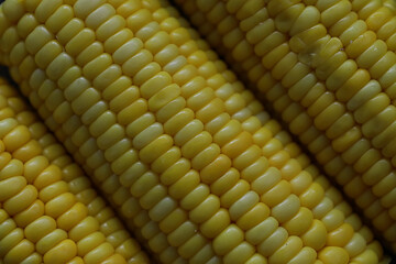 Freshly made fragrant ear of corn with salt. Farm snack of fresh corn. Healthy breakfast and healthy lifestyle concept.