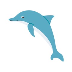 Obraz premium イルカのイラスト