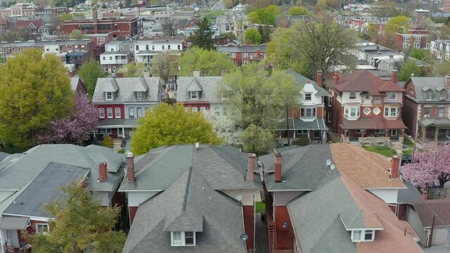 Aerial dolly forward features rows of homes in urban city setting in USA. Spring trees bloom. Low rooftop level.