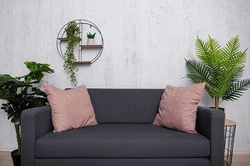 Stylish interior of living room with sofa, pillows and plants
