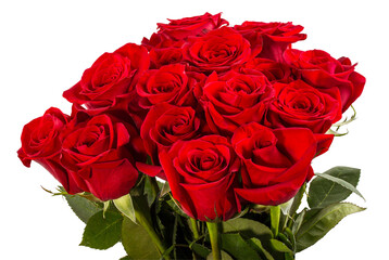 Rose flower isolated on white background with clipping path