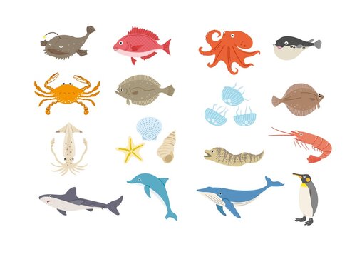 3 Best 平目 Images Stock Photos Vectors Adobe Stock 3 Best 平目 Images Stock Photos Vectors Adobe Stock