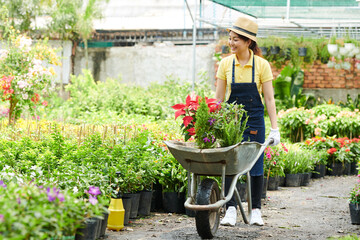 Cheerful young woman working in gardening center, she is walking with wheelbarrow and putting...
