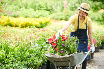 Smiling young plant nursery worker pushing wheelbarrow full of plants