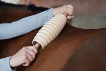 Faszienrolle Anwendung am Pferd © sabrina