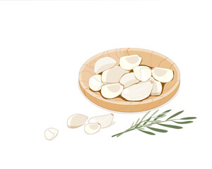 Isolated unpeeled garlic cloves in wooden plate with rosemary  decoration on white background. Hand drawing food and herb ingredients vector illustration.