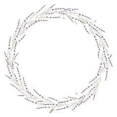 Beautiful floral wreath frame with watercolor hand drawn gentle lavander flowers. Stock illustration.