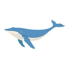 クジラのイラスト