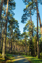 Senda de las pesquerías reales en Valsaín Segovia