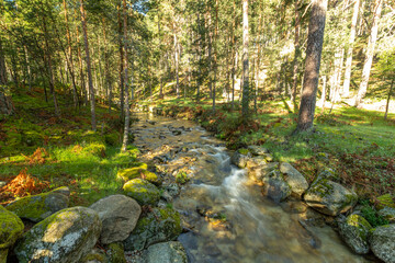 Senda de las pesquerías reales en Valsaín Segovia