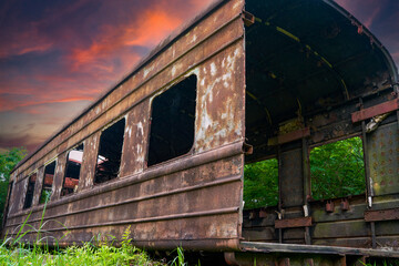 A batch of rusty train carriages abandoned in the forest