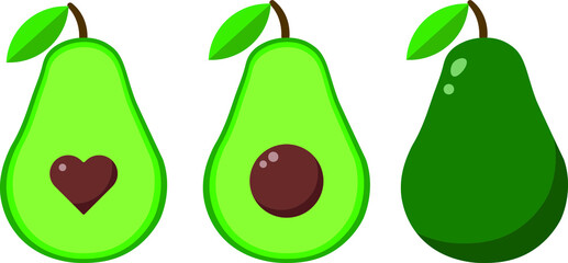 illustration of an avocado