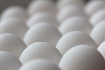 white eggs in a carton