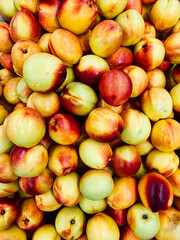 lots of sweet ripe peaches to eat as a background