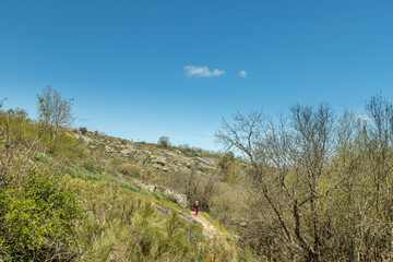 Obraz premium Senda de las pesquerías reales en Valsaín Segovia